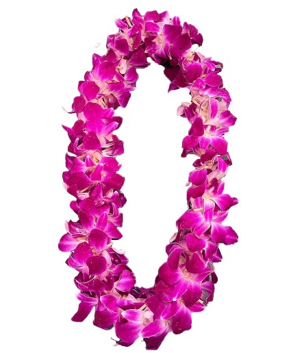 Graduation Orchid Leis  FRESH & Special Price  Orchid Leis  Doubles  In A Clear Presentation  Box ((Pickup Only))   