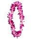 Graduation Orchid   Leis   ((single))  Single Sonia Orchid Leis In A Clear Presentation  Box (( PICKUP ONLY ))  