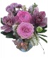 Orchid Love  