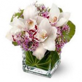 Orchid Love Vase Arrangement
