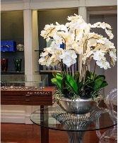 Orchid Natural or Artificial Silk Arrangement  