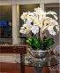 Orchid Natural or Artificial Silk Arrangement  