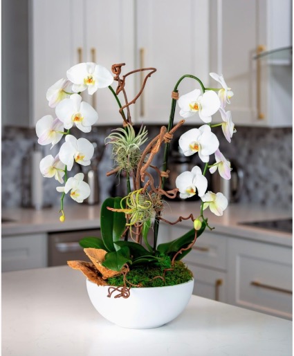 Orchid Natural or Artificial Silk Arrangements