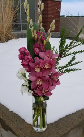 orchid passion