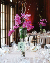 Orchid Plant Centerpiece Wedding Flowers