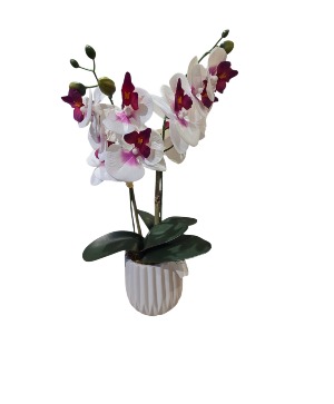 Real touch orchid plant Silk 
