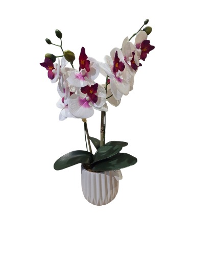 Real touch orchid plant Silk