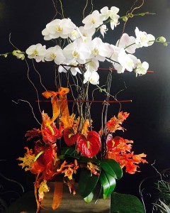 Orchid Planter with seasonal decorations 