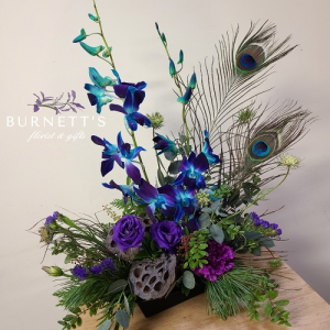 Orchid Plume Arrangement 