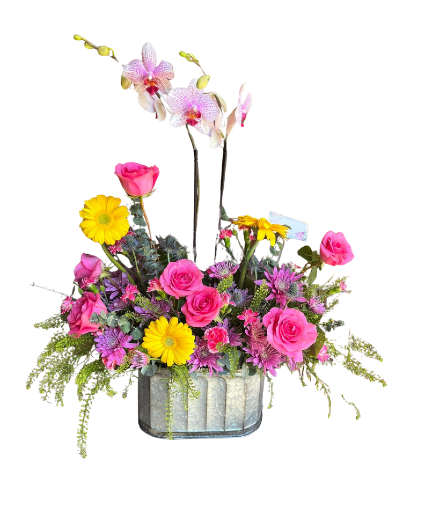 Orchid Splendor Basket