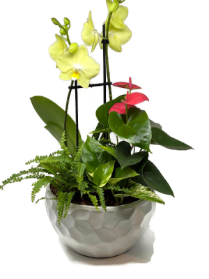 Orchid Tropical Planter  
