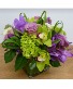 Orchid Whisper 