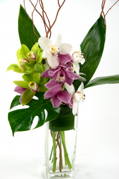 Category Image