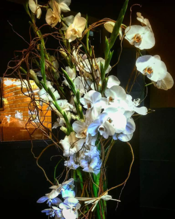 Purity of Orchids 