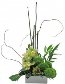 Orchids and Green Poms Garden Tropical Cut Flowers