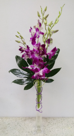 Orchids for My Girl.