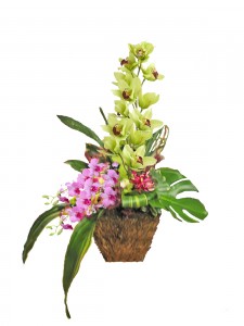 Orchids in natural grass basket Tropical