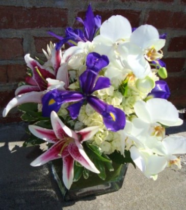 ORCHID'S & IRIS Square Block Arrangement