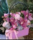 Orchids love  Deluxe