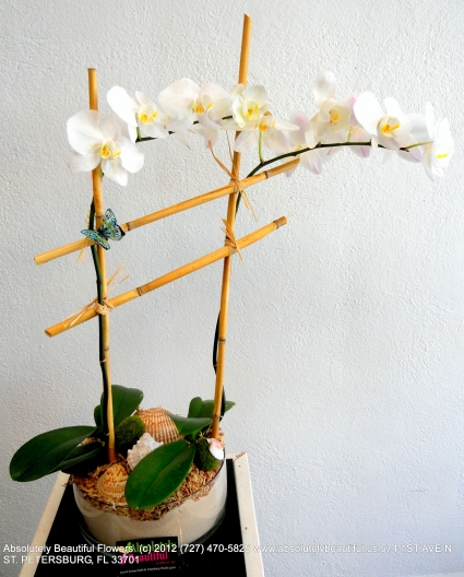 ORCHIDS ON THE BEACH EXCLUSIVE BEYOND THE ORDINARY