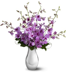Orchids Reflections Bq ANYTIME