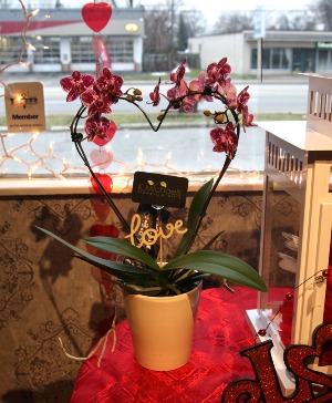 Orchids with a Heart planter