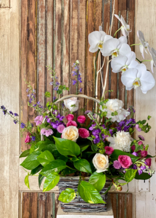 Organic Elegance