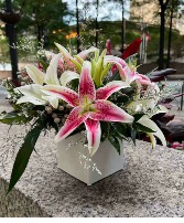 Oriental Lilies Designer's Choice 