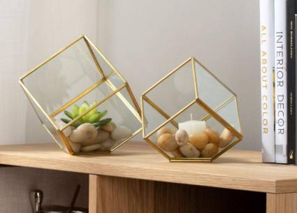 Oro Cubes Air Plant collection