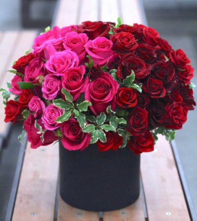 Orpheus and Eurydice Red Rose