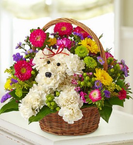 Our Best Friend Carnation Dog With Bright Flowers