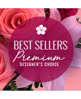 Our Best Seller Premium Designer's Choice