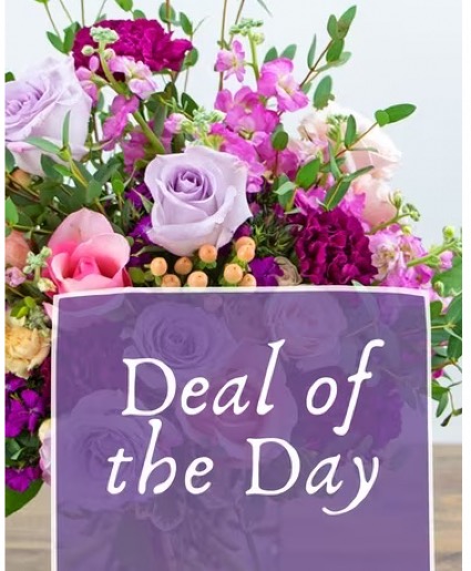 our BIGGEST & BEST deal of the day… 