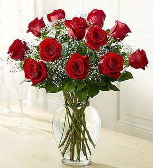 Our  Classic Dozen Red Rose Arrangement