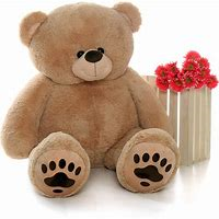 Our Giant Bear Limited quantity