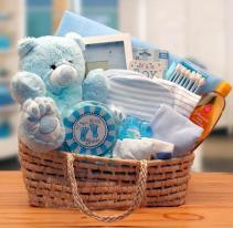 Our Precious Baby Carrier-Blue  Gift Basket