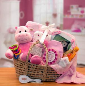 Our Precious Baby Carrier - Pink  Gift Basket