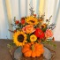 Out of the Pumpkin Patch Ceramic Arrangement