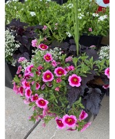 Outdoor Annual Patio Pots Outdoor Patio Pots