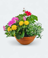 Outdoor Annuals Dish Garden Dish Garden