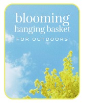 Outdoor Blooming Hanging Basket Flower Arrangement