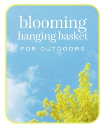 Outdoor Blooming Hanging Basket Flower Arrangement