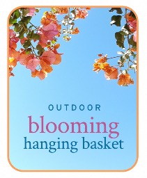 Outdoor Blooming Hanging Basket Plant Flower Arrangement