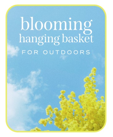 Outdoor Blooming Hanging Basket Plants in Nevada, IA | Flower Bed Outdoor Blooming Hanging Basket Plants in Nevada, IA | Flower Bed