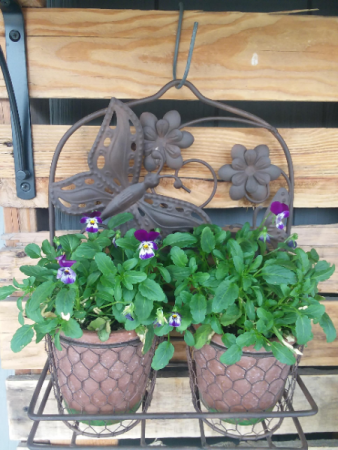 Outdoor Decorative Plant Holder