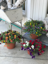 Outdoor Flowering Container 