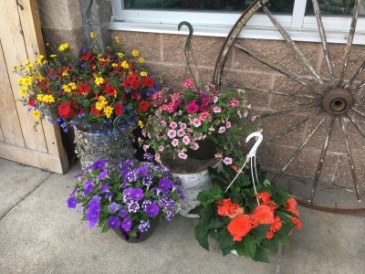 Outdoor Hanging Basket