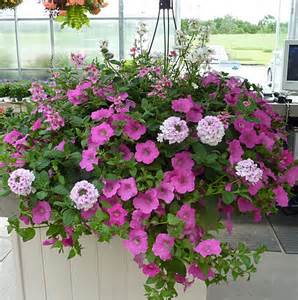 outdoor hanging basket  in Park Falls, WI | The Blumenhaus