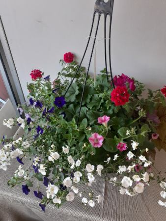 Outdoor Hanging Basket
