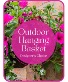 Outdoor Hanging Basket Designer's Choice Hanging Basket